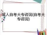 成人自考大专咨询(自考大专咨询)