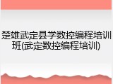 楚雄武定县学数控编程培训班(武定数控编程培训)