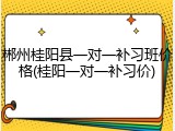 郴州桂阳县一对一补习班价格(桂阳一对一补习价)