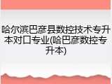 哈尔滨巴彦县数控技术专升本对口专业(哈巴彦数控专升本)