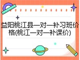 益阳桃江县一对一补习班价格(桃江一对一补课价)