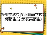 忻州宁武县农业职高学校如何招生(宁武农高招生)