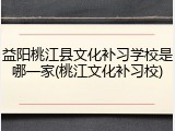 益阳桃江县文化补习学校是哪一家(桃江文化补习校)