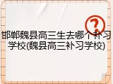 邯郸魏县高三生去哪个补习学校(魏县高三补习学校)
