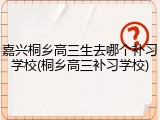 嘉兴桐乡高三生去哪个补习学校(桐乡高三补习学校)
