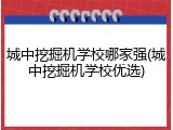城中挖掘机学校哪家强(城中挖掘机学校优选)