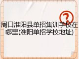 周口淮阳县单招集训学校在哪里(淮阳单招学校地址)