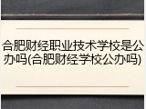 合肥财经职业技术学校是公办吗(合肥财经学校公办吗)