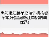 黑河嫩江县单招培训机构哪家最好(黑河嫩江单招培训优选)