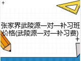 张家界武陵源一对一补习班价格(武陵源一对一补习费)