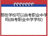 那些学校可以自考职业中学吗(自考职业中学学校)