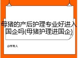 母猪的产后护理专业好进入国企吗(母猪护理进国企)