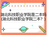 湖北科技职业学院是二本吗(湖北科技职业学院二本？)