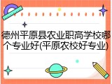 德州平原县农业职高学校哪个专业好(平原农校好专业)