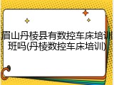 眉山丹棱县有数控车床培训班吗(丹棱数控车床培训)