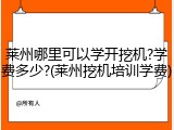 莱州哪里可以学开挖机?学费多少?(莱州挖机培训学费)