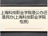 上海科技职业学院是公办还是民办(上海科技职业学院性质)
