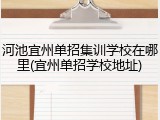 河池宜州单招集训学校在哪里(宜州单招学校地址)