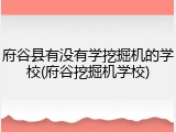 府谷县有没有学挖掘机的学校(府谷挖掘机学校)