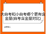 大自考和小自考哪个更有含金量(自考含金量对比)