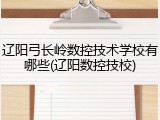 辽阳弓长岭数控技术学校有哪些(辽阳数控技校)