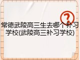 常德武陵高三生去哪个补习学校(武陵高三补习学校)