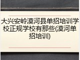 大兴安岭漠河县单招培训学校正规学校有那些(漠河单招培训)
