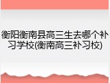 衡阳衡南县高三生去哪个补习学校(衡南高三补习校)