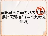 阜阳阜南县高考艺考生文化课补习班推荐(阜南艺考文化班)