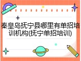 秦皇岛抚宁县哪里有单招培训机构(抚宁单招培训)