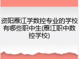 资阳雁江学数控专业的学校有哪些职中生(雁江职中数控学校)