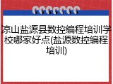 凉山盐源县数控编程培训学校哪家好点(盐源数控编程培训)