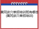 黄冈武穴单招培训班有哪些(黄冈武穴单招培训)
