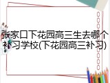 张家口下花园高三生去哪个补习学校(下花园高三补习)