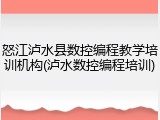 怒江泸水县数控编程教学培训机构(泸水数控编程培训)