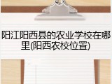 阳江阳西县的农业学校在哪里(阳西农校位置)