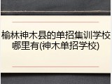 榆林神木县的单招集训学校哪里有(神木单招学校)