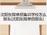 沈阳东陵单招集训学校怎么报名(沈阳东陵单招报名)