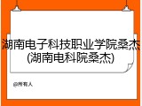 湖南电子科技职业学院桑杰(湖南电科院桑杰)
