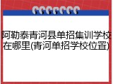 阿勒泰青河县单招集训学校在哪里(青河单招学校位置)
