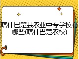 喀什巴楚县农业中专学校有哪些(喀什巴楚农校)