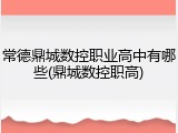 常德鼎城数控职业高中有哪些(鼎城数控职高)