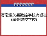 渭南潼关县数控学校有哪些(潼关数控学校)