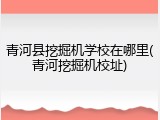 青河县挖掘机学校在哪里(青河挖掘机校址)