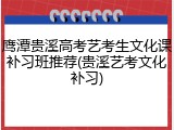 鹰潭贵溪高考艺考生文化课补习班推荐(贵溪艺考文化补习)
