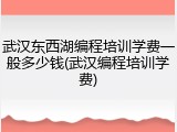 武汉东西湖编程培训学费一般多少钱(武汉编程培训学费)