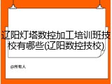 辽阳灯塔数控加工培训班技校有哪些(辽阳数控技校)