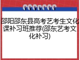 邵阳邵东县高考艺考生文化课补习班推荐(邵东艺考文化补习)