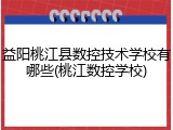 益阳桃江县数控技术学校有哪些(桃江数控学校)