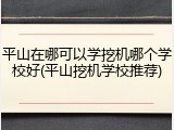 平山在哪可以学挖机哪个学校好(平山挖机学校推荐)